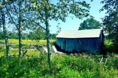 20170820152002767-e1504105047149