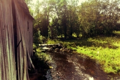 20170820152840503-e1504104972822