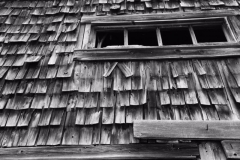 Cedar Shingles
