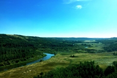 20170827151135098-e1504104461175