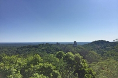 Jungle-Temples-at-Tikal
