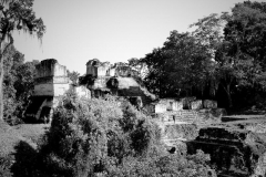 Tikal-Ruins-1