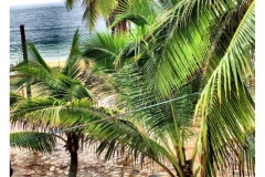 IMG_2622-e1506950952606